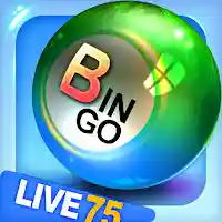 Bingo City 75: Bingo & Slots MOD APK v13.61 (Unlimited Money)