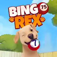 Bingo Rex Mod APK (Unlimited Money) v42.11.01