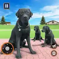 Dog Life Simulator Pet Games MOD APK v3.5 (Unlimited Money)