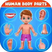 Human Body Parts – Kids Games MOD APK v3.9 (Unlimited Money)