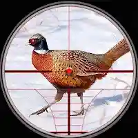 Pheasant birds hunting Games Mod APK (Unlimited Money) v1.0