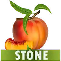 Stone Diet Renal Gall Bladder MOD APK v2.7 (Unlocked)