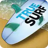 True Surf MOD APK v1.1.65 (Unlimited Money)