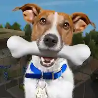 Animal Shelter Pet Rescue Game MOD APK v1.11 (Unlimited Money)
