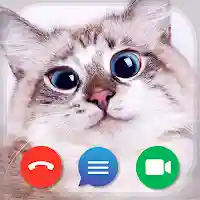 Cat Fake Video Calls and Chat MOD APK v1.5 (Unlimited Money)
