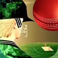 Cricket Fly x Gamifly MOD APK vv1.3.14.G (Unlimited Money)