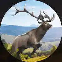 Deer Hunting Games in Forest MOD APK v2.2 (Unlimited Money)