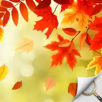 Hidden Object – Autumn Garden MOD APK v1.2.150 (Unlimited Money)