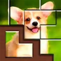 Jigsaw Puzzles Blocks MOD APK v1.1.5 (Unlimited Money)