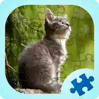 Kittens jigsaw puzzles games MOD APK v1.0.1093 (Unlimited Money)