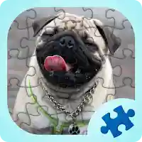 Pugs jigsaw puzzles games MOD APK v1.0.1093 (Unlimited Money)