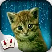 Hidden Mahjong Cat Tails: Free MOD APK v1.0.47 (Unlimited Money)