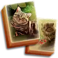 Hidden Mahjong – Cats Tropical MOD APK v1.0.57 (Unlimited Money)