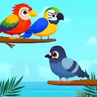 Bird Sort Color- Puzzle Master MOD APK v1.6 (Unlimited Money)