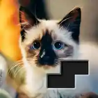 Block Square Jigsaw Puzzle MOD APK v1.2.2 (Unlimited Money)