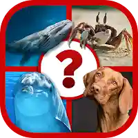 4 Fotos 1 Animal MOD APK v10.3.6 (Unlimited Money)