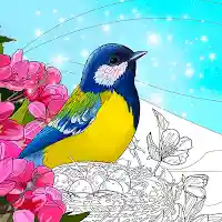 Birds Coloring Art Book MOD APK v1.2 (Unlimited Money)