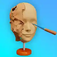 Face Sculpt 3D: Clay Games MOD APK v2.8 (Unlimited Money)