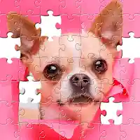 Jigsaw Puzzles Collection HD MOD APK v1.4.11 (Unlimited Money)