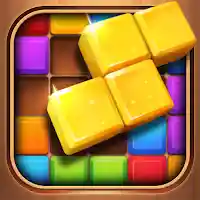 Puzzle Blast:Block Match MOD APK v1.1.0 (Unlimited Money)