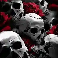 Skull Wallpaper MOD APK