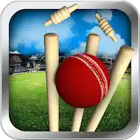 Super Cricket MOD APK v1.3 (Unlimited Money)