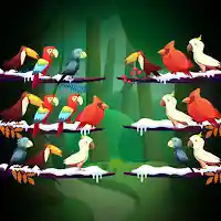 Birds Sort Color Puzzle MOD APK v2.1.8 (Unlimited Money)