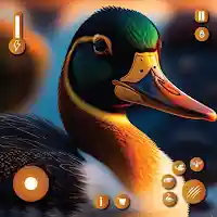 Virtual Duck Simulator Bird 3D MOD APK