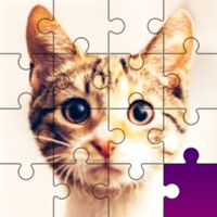 Jigsaw puzzles – PuzzleTime MOD APK v5.1.6 (Unlimited Money)