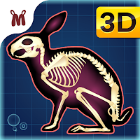 Marbel Anatomi Hewan SD 5 MOD APK v1.0.1 (Unlocked)
