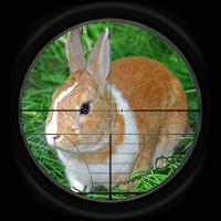 Rabbit Hunting 3D MOD APK v5 (Unlimited Money)