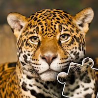 Animals Photo Jigsaw Puzzle MOD APK v2023.46 (Unlimited Money)