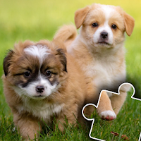 Dogs & Cats Puzzles for kids 2 MOD APK v2023.60 (Unlimited Money)