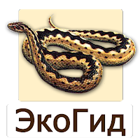 EcoGuide: Russian Reptiles MOD APK v1.0.7 (Unlocked)