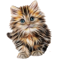 Cat breeds – Smart Identifier MOD APK v1.0.30.127 (Unlocked)