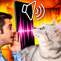 Cat Translator – translate cat MOD APK v1.7.12 (Unlocked)