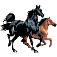 Horse breeds – Photos MOD APK v1.0.28.134 (Unlocked)