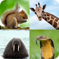 Animal Quiz: Guess the Animal MOD APK v1.0.88 (Unlimited Money)