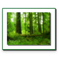 Forest Conservation Act 1980 MOD APK v1.66 (Unlocked)