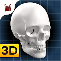 Marbel Anatomi Manusia SD 5 MOD APK v1.1.3 (Unlocked)
