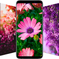 Flower Wallpapers – Flowrify MOD APK v5.0.53 (Unlocked)
